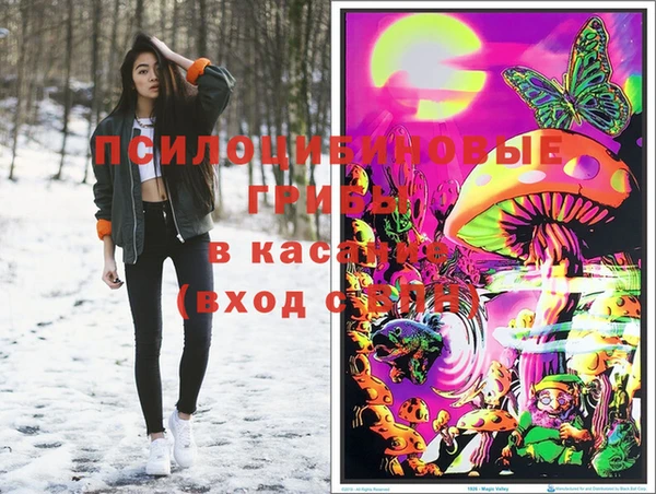 spice Аркадак