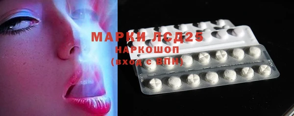 spice Аркадак