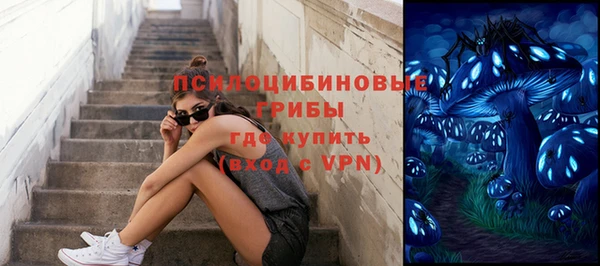 эйфоретик Арсеньев